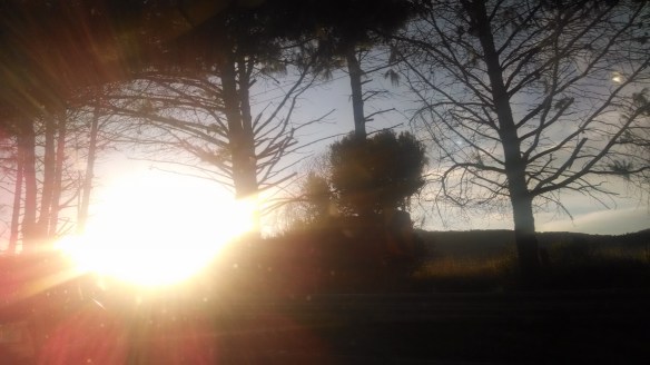 Fotografía: Crissanta