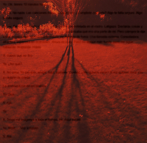 «Conversation», por Crissanta, derivada de «When Night Falls It Is Better To Be Reddy For Anything!», por Tony Hammond (CC BY 2.0).