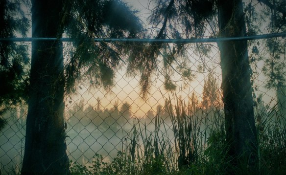 Fotografía: Crissanta